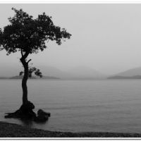 0005 (Best Wallpapers)