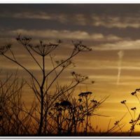 0025 (Best Wallpapers)