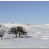 0017 (Best Wallpapers)