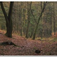 0174 (Best Wallpapers)