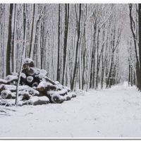 0168 (Best Wallpapers)