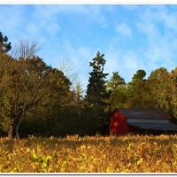 0040 (Best Wallpapers)