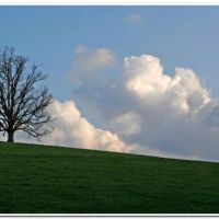 0022 (Best Wallpapers)