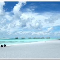 0029 (Best Wallpapers)