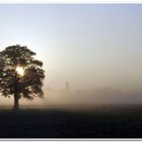 0019 (Best Wallpapers)