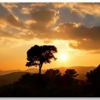 0031 (Best Wallpapers)