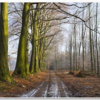 0175 (Best Wallpapers)