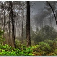 0010 (Best Wallpapers)