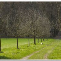 0176 (Best Wallpapers)