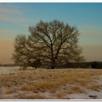 0150 (Best Wallpapers)