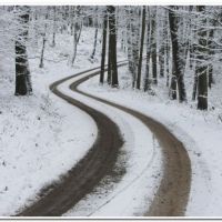 0173 (Best Wallpapers)