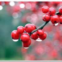 0012 (Best Wallpapers)