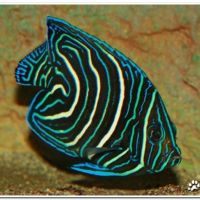 1226256639_86f13ae10a0e