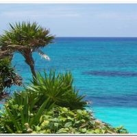 0011 (Best Wallpapers)