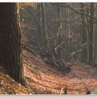 0181 (Best Wallpapers)