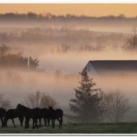 0013 (Best Wallpapers)