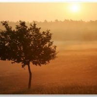 0163 (Best Wallpapers)