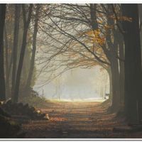 0171 (Best Wallpapers)