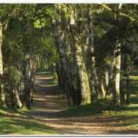 0180 (Best Wallpapers)