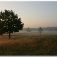 0165 (Best Wallpapers)