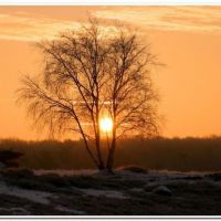 0154 (Best Wallpapers)