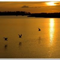 0429 (Best Wallpapers)