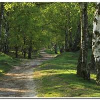 0179 (Best Wallpapers)