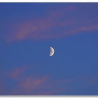 0166 (Best Wallpapers)