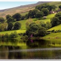 0442 (Best Wallpapers)