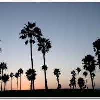 0037 (Best Wallpapers)