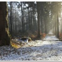 0172 (Best Wallpapers)