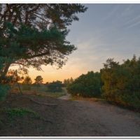 0149 (Best Wallpapers)