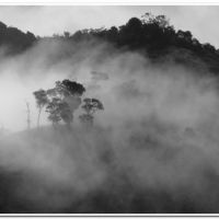 0007 (Best Wallpapers)