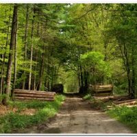 0153 (Best Wallpapers)